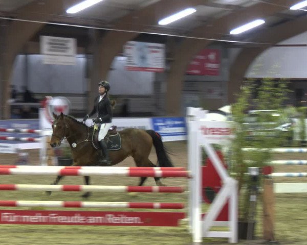Reitturnier Barlo-Bocholt 2024