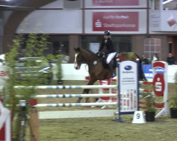Reitturnier Barlo-Bocholt 2024