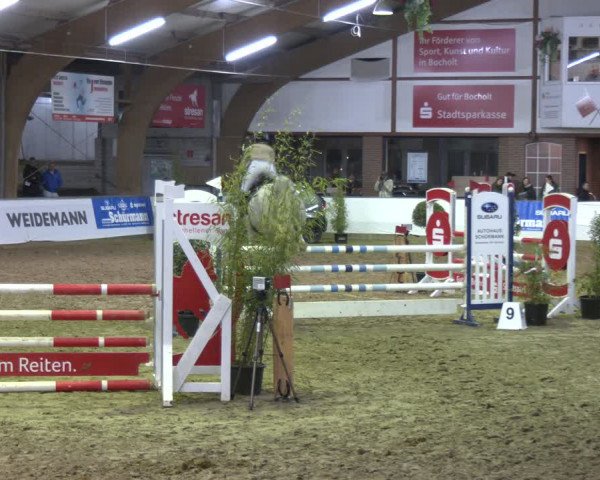 Reitturnier Barlo-Bocholt 2024