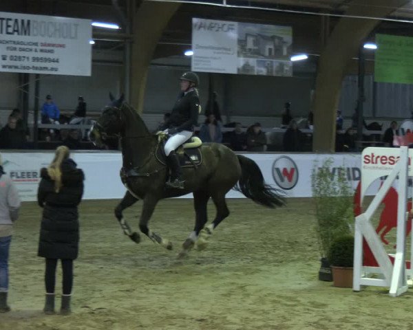 Reitturnier Barlo-Bocholt 2024