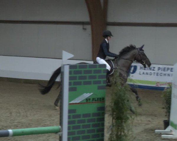 Reitturnier Barlo-Bocholt 2024