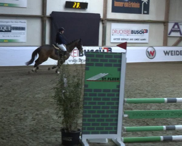 Reitturnier Barlo-Bocholt 2024