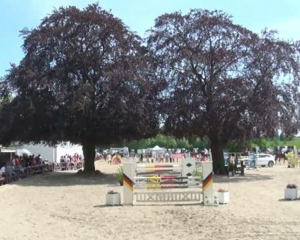 Dorsten 2011