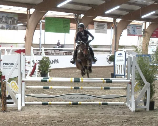 Reitturnier Barlo-Bocholt 2024