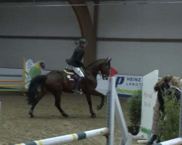 Reitturnier Barlo-Bocholt 2024
