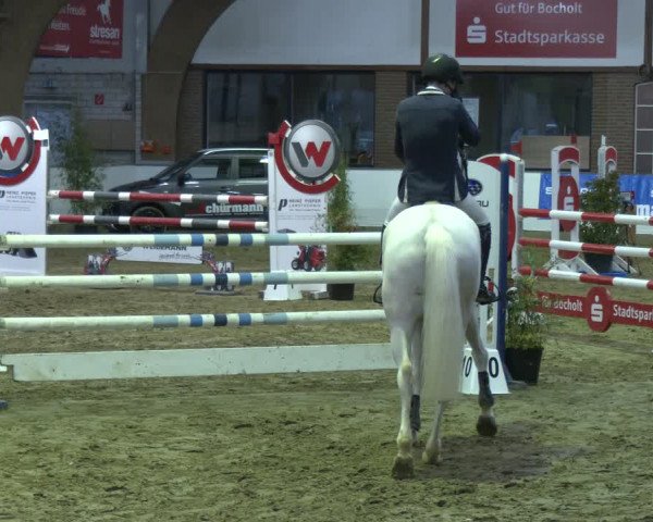 Reitturnier Barlo-Bocholt 2024