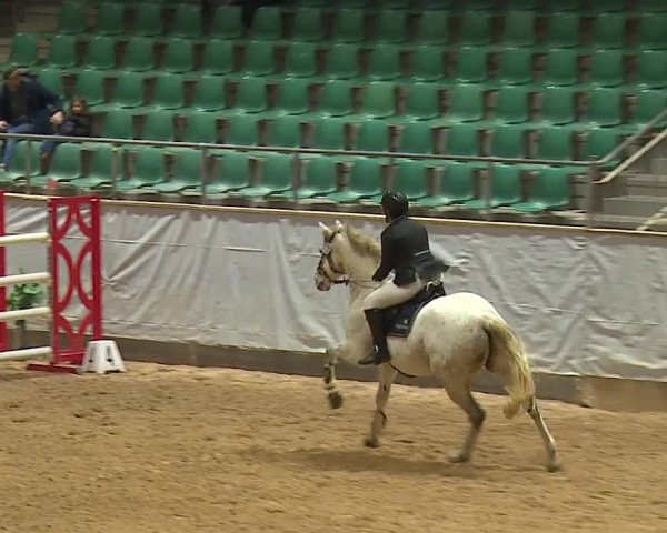Reitturnier Kreuth/Opf. 2024