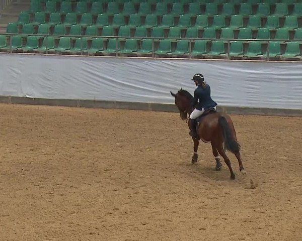 Reitturnier Kreuth/Opf. 2024