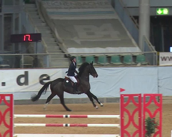 Reitturnier Kreuth/Opf. 2024