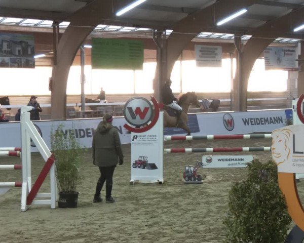 Reitturnier Barlo-Bocholt 2024