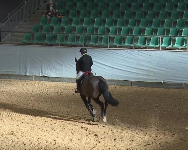 Reitturnier Kreuth/Opf. 2024