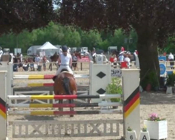 Dorsten 2011