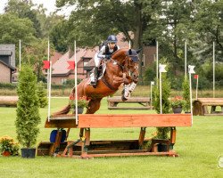 broodmare Poupee de sucre (Westphalian, 2012, from Peking)