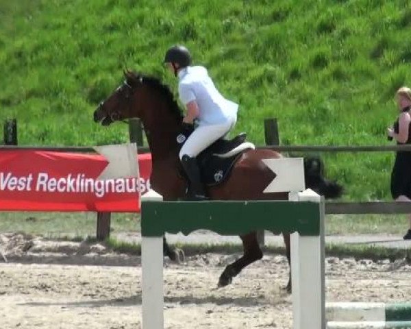 Dorsten 2011