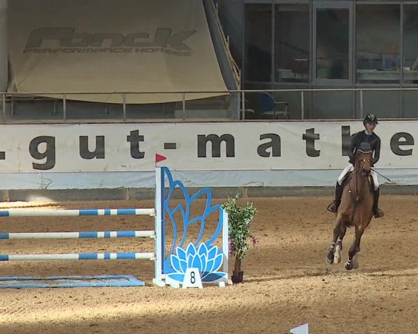 Reitturnier Kreuth/Opf. 2024