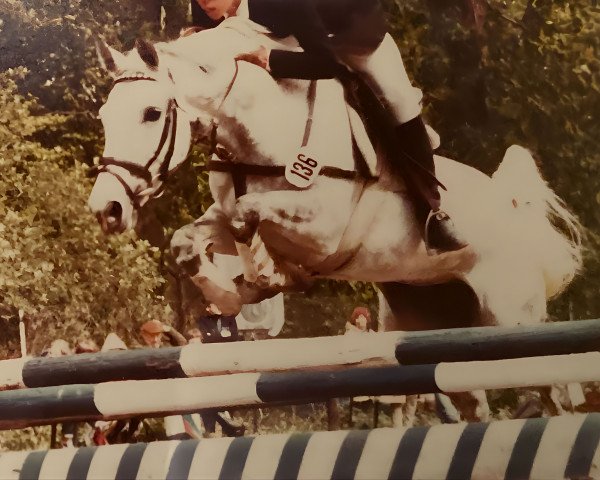 broodmare Herbe (Holsteiner, 1971, from Kosak) broodmare Herbe (Holsteiner, 1971, from Kosak)