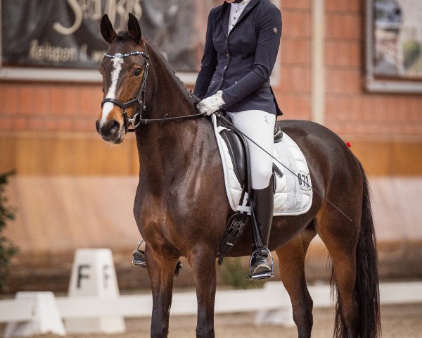 Dressurpferd Dori Von Titz (Deutsches Reitpony, 2017, von Dating AT NRW)