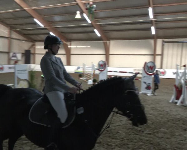 Reitturnier Barlo-Bocholt 2024