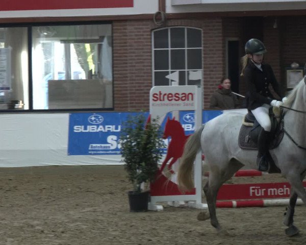 Reitturnier Barlo-Bocholt 2024