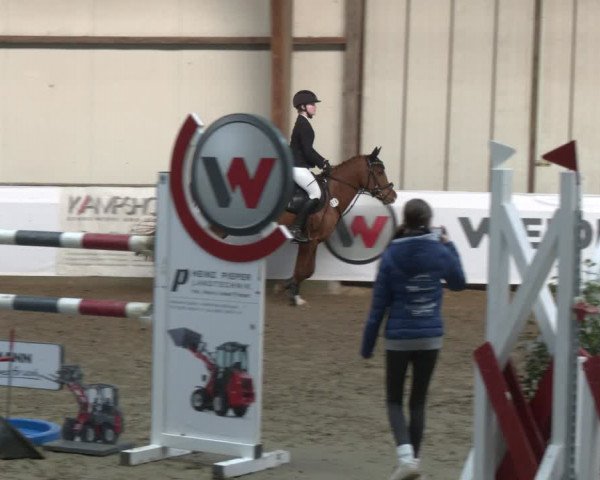 Reitturnier Barlo-Bocholt 2024