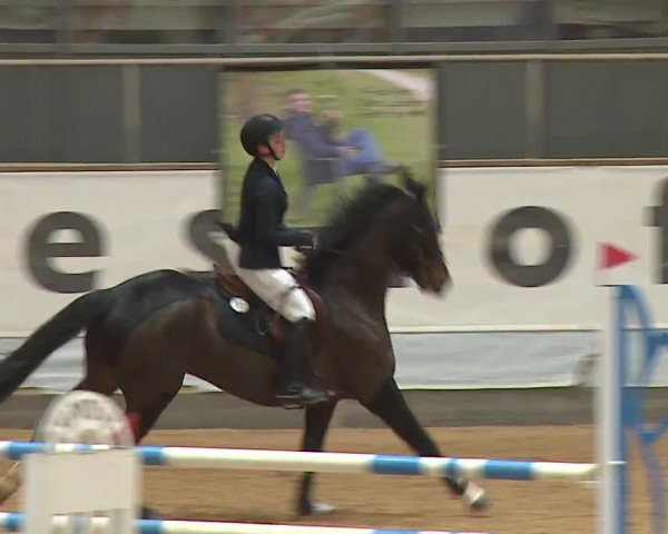 Reitturnier Kreuth/Opf. 2024