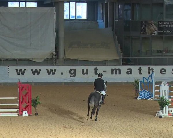 Reitturnier Kreuth/Opf. 2024
