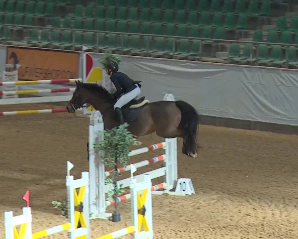 Reitturnier Kreuth/Opf. 2024
