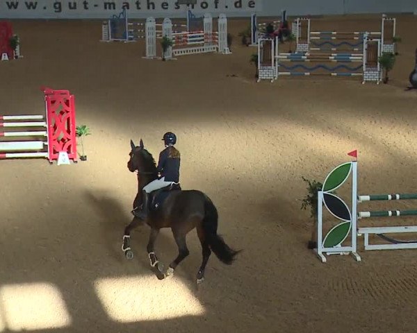 Reitturnier Kreuth/Opf. 2024