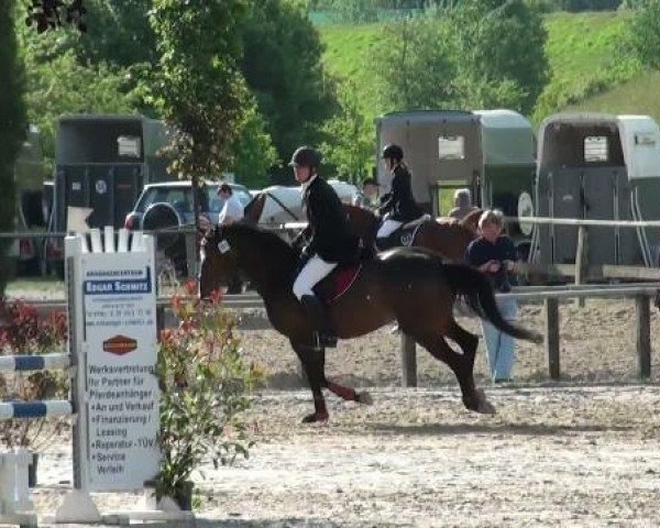 Dorsten 2011
