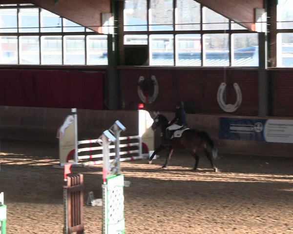 Reitturnier Köln-Leverkusen 2024