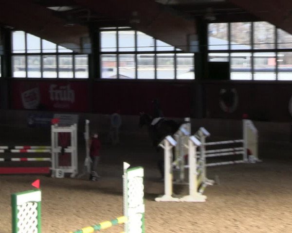 Reitturnier Köln-Leverkusen 2024