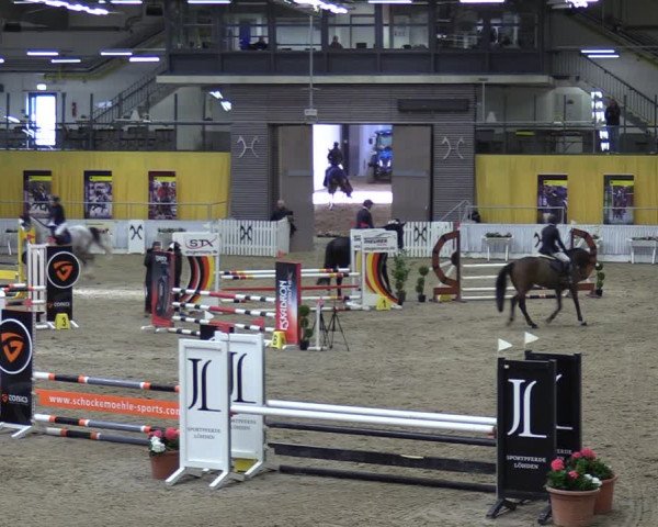 Reitturnier Verden 2024