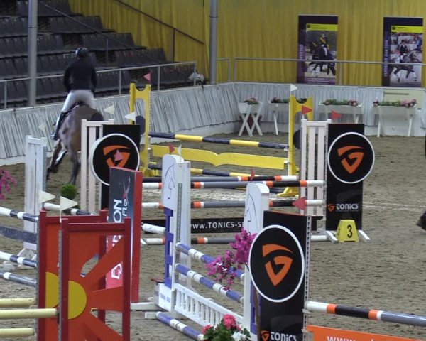 Reitturnier Verden 2024