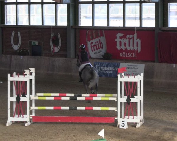 Reitturnier Köln-Leverkusen 2024