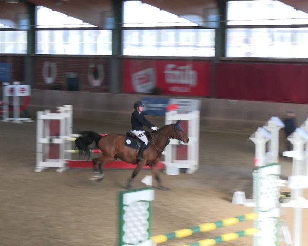 Reitturnier Köln-Leverkusen 2024