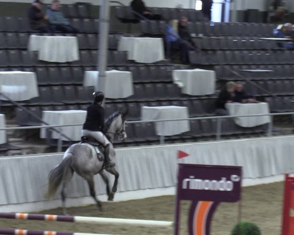 Reitturnier Verden 2024