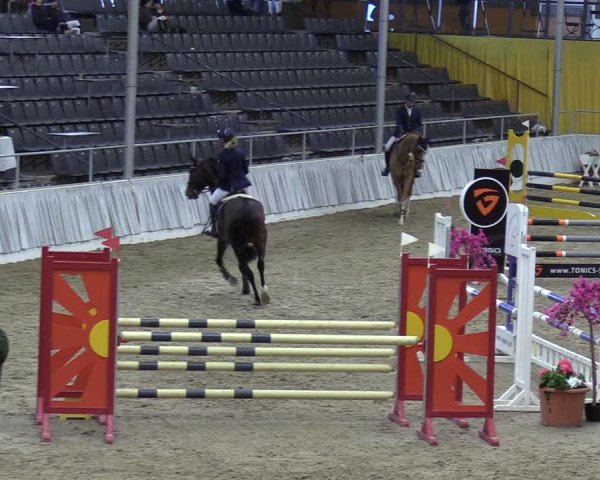 Reitturnier Verden 2024