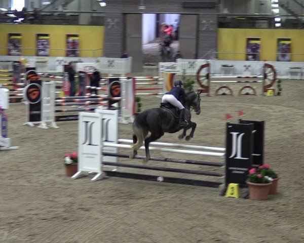 Reitturnier Verden 2024