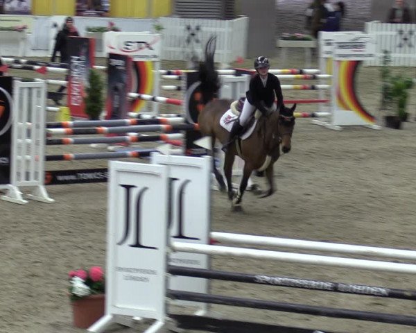 Reitturnier Verden 2024