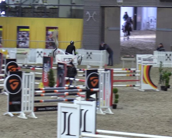Reitturnier Verden 2024