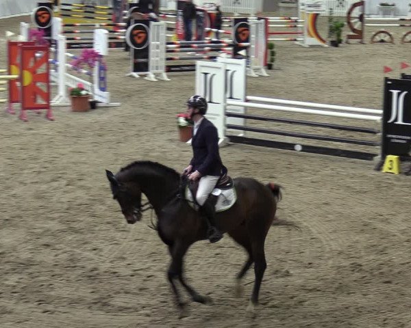 Reitturnier Verden 2024