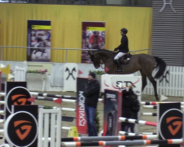 Reitturnier Verden 2024