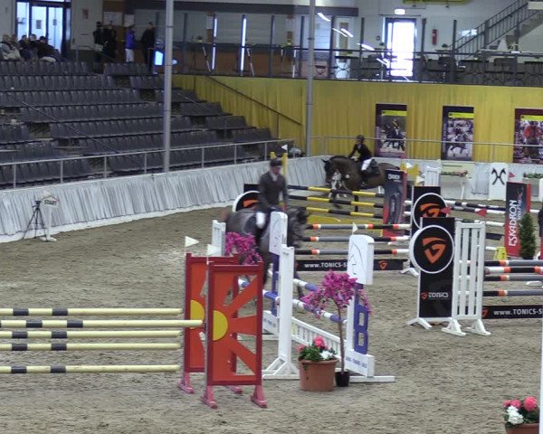 Reitturnier Verden 2024