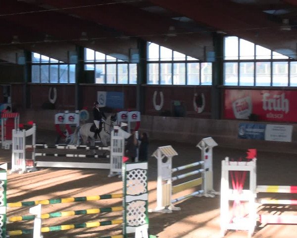 Reitturnier Köln-Leverkusen 2024