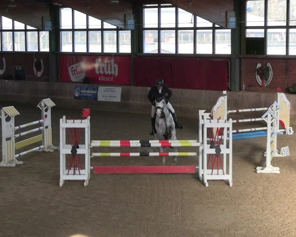 Reitturnier Köln-Leverkusen 2024
