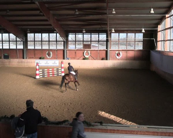 Reitturnier Köln-Leverkusen 2024