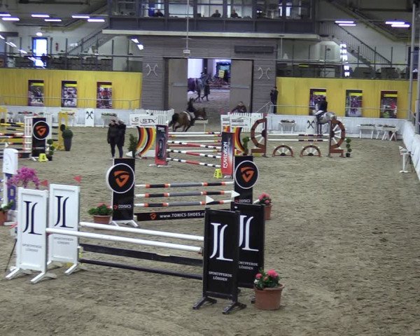 Reitturnier Verden 2024