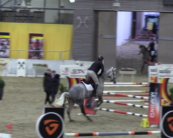 Reitturnier Verden 2024