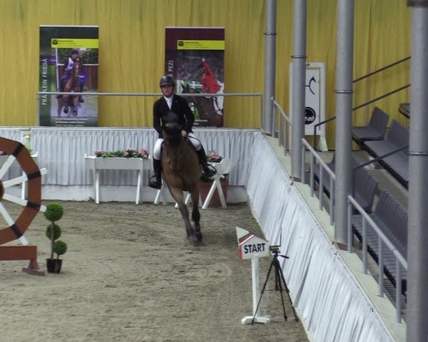 Reitturnier Verden 2024