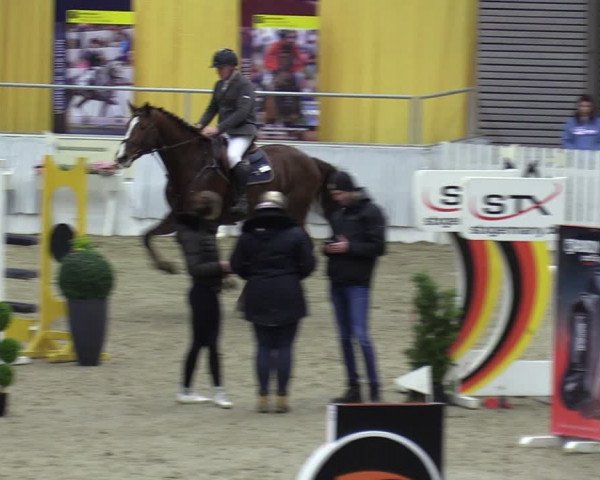 Reitturnier Verden 2024